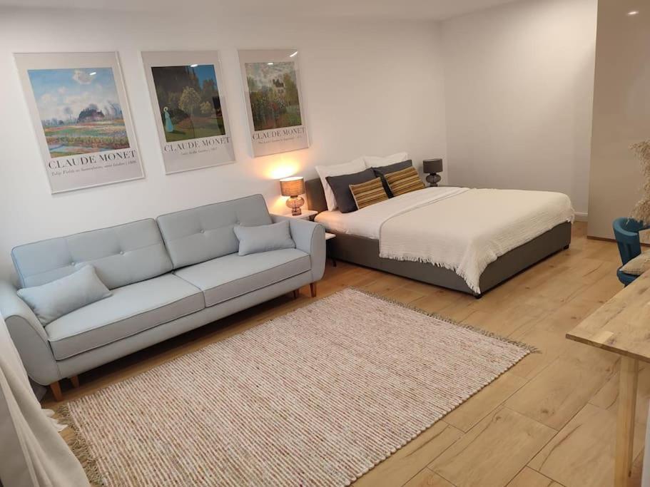 Altstadt House 布拉索夫 外观 照片